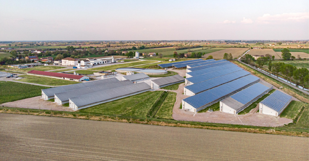 L'azienda Piggly partecipa all'edizione 2025 del Master Food dell'Università di Pisa